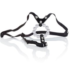 CALEXOTICS - LOVERS...