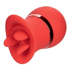 CALEXOTICS - SET FRENCH...