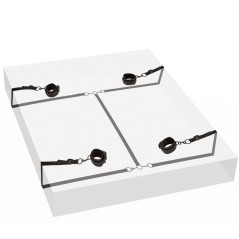 CALEXOTICS - CONTENUTO...