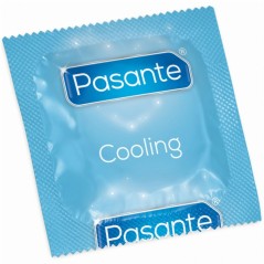 PASANTE - BUSTA DI...